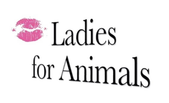 Kalendarz „Ladies for Animals”